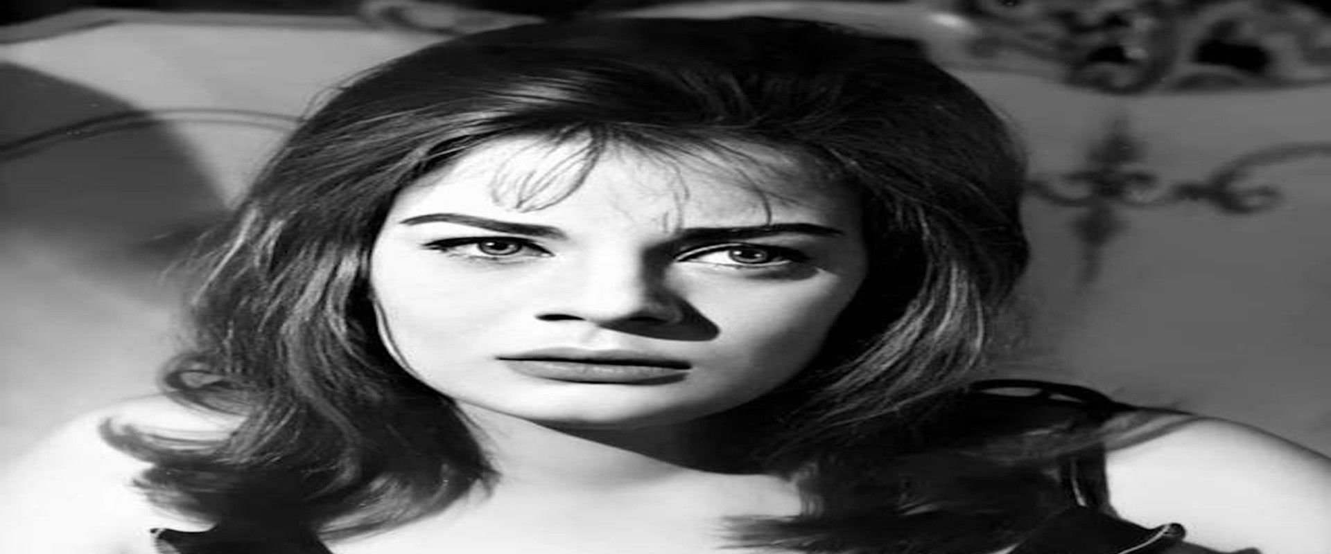 دعني والدموع's banner image