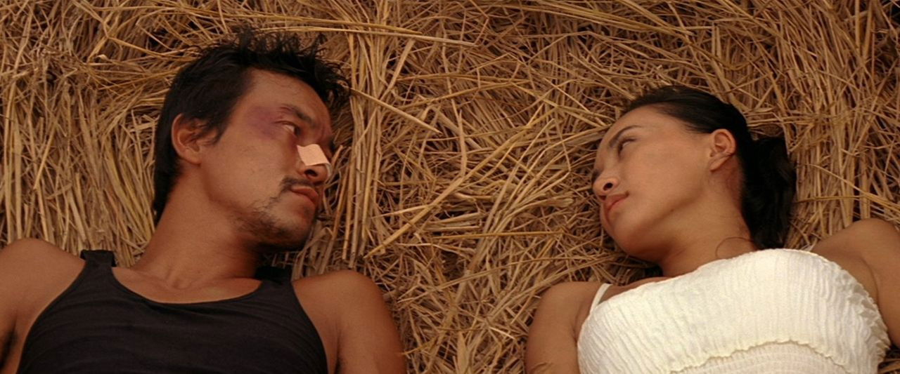 Ocean Flame's banner image