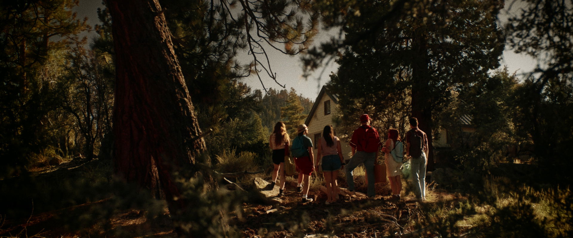 Clawface's banner image