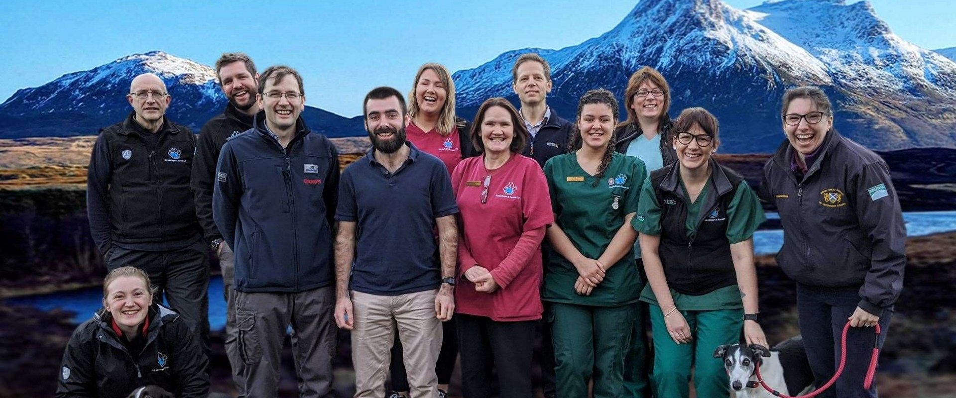 The Highland Vet