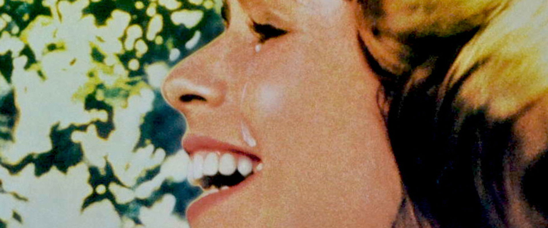 Little Mo's banner image