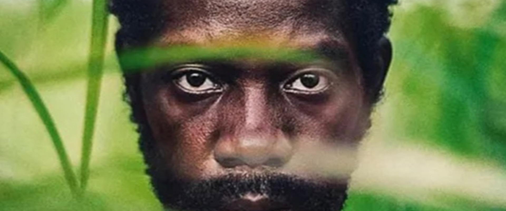 Furcy's banner image