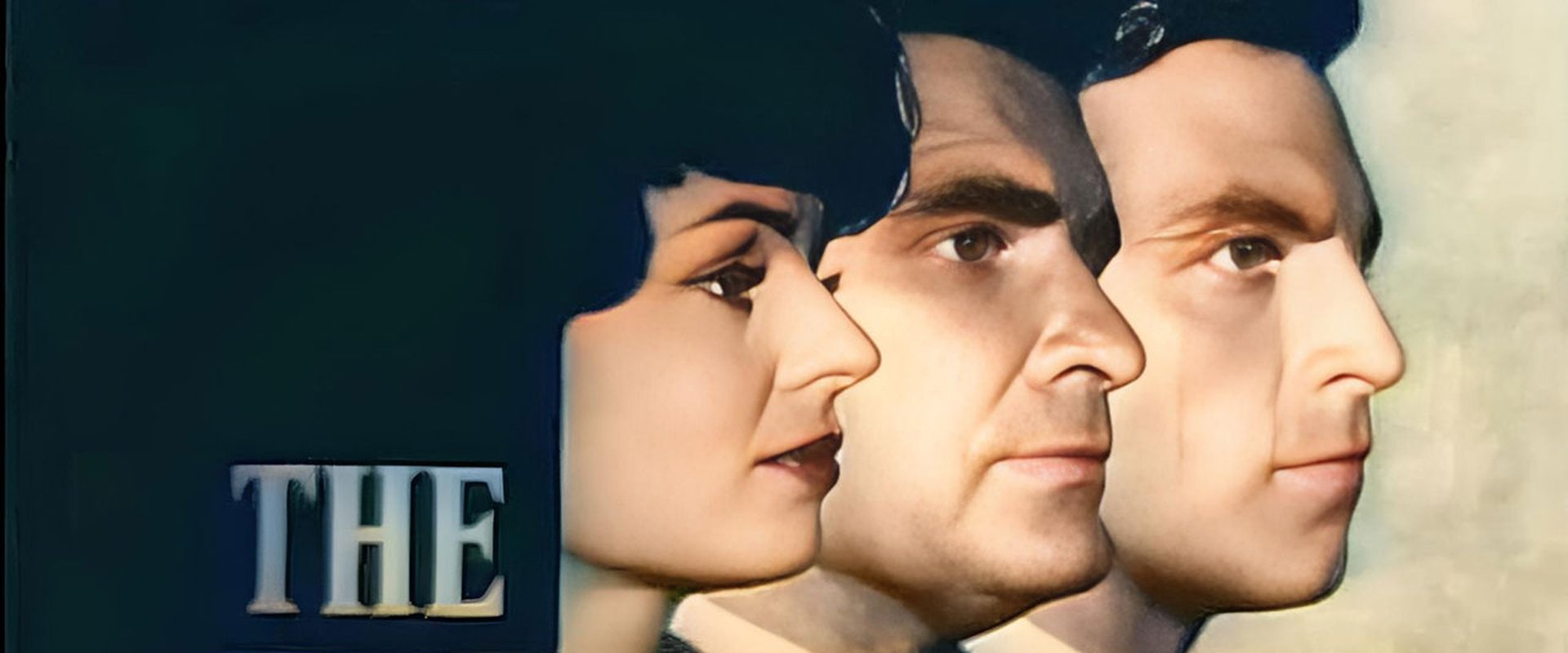 The Investigators