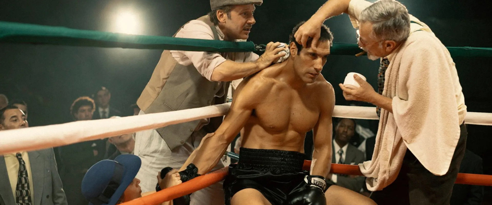 Rey del ring — imagen panoramica