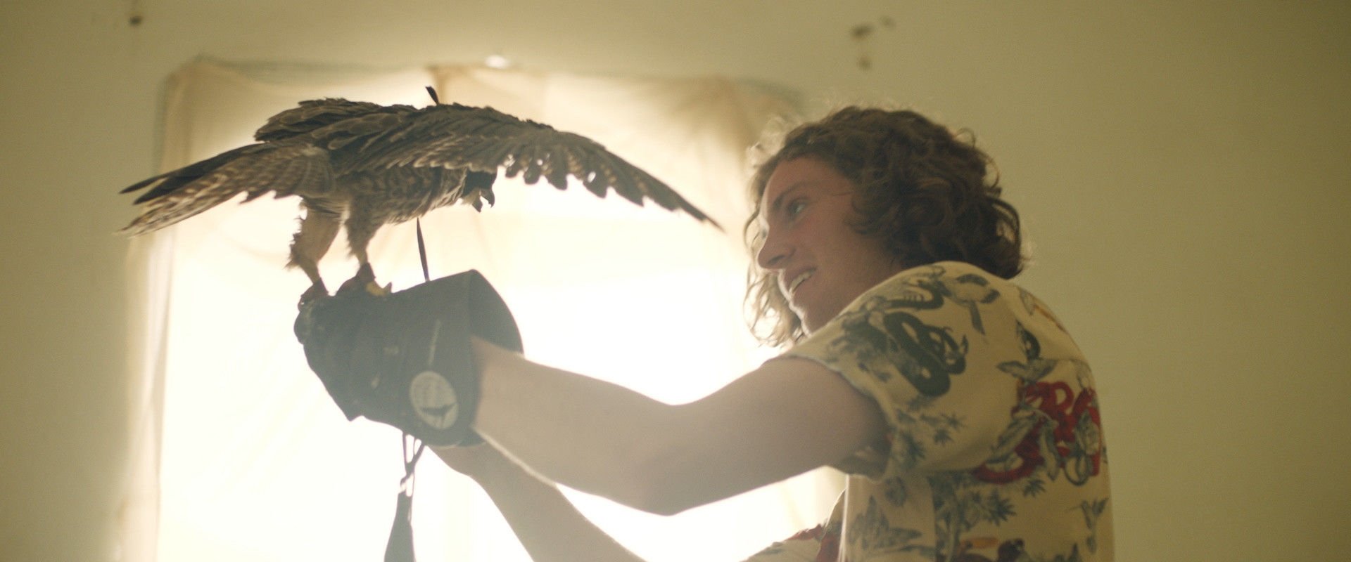 The Falconer