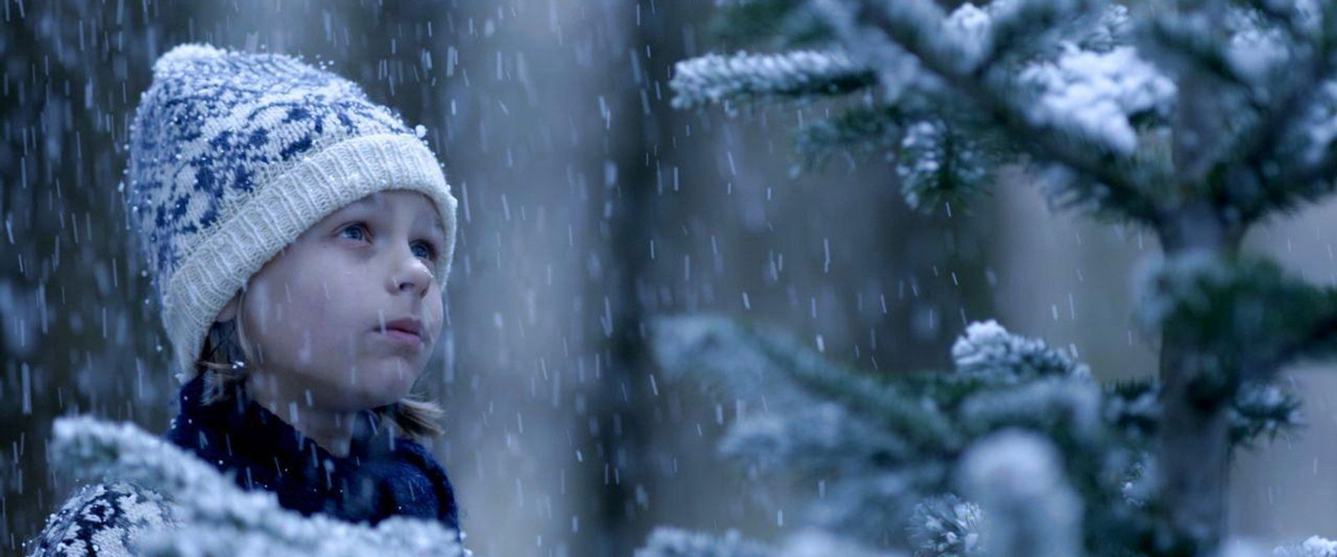 The Fir Tree's banner image