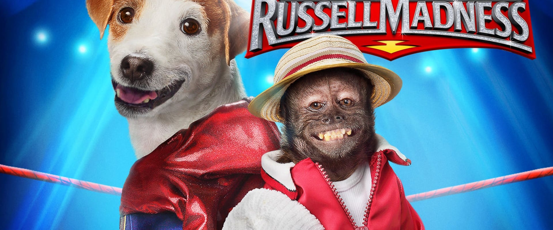 Russell o Cãopeão