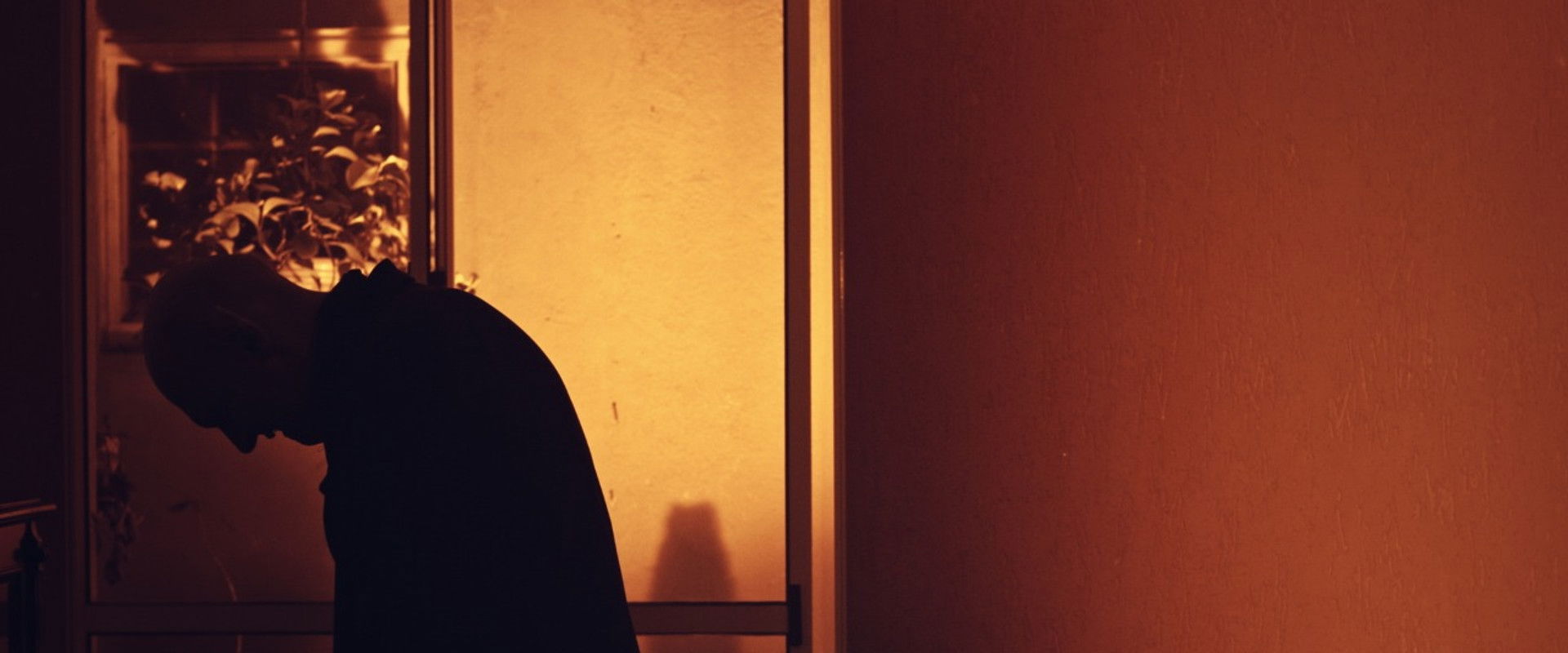 Blood and Waltz's banner image