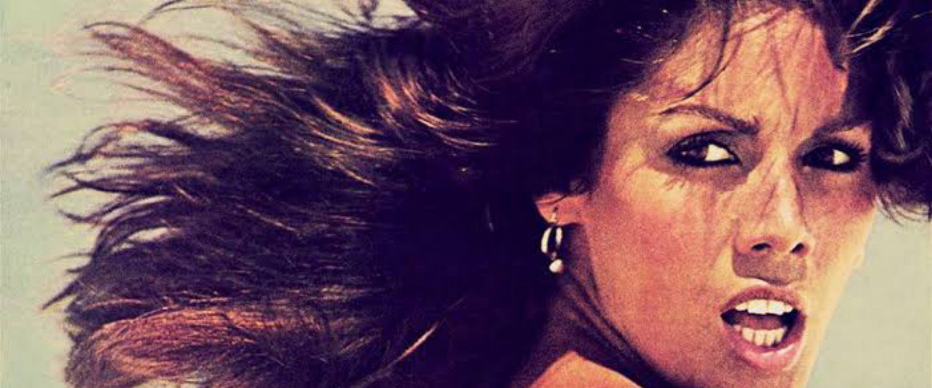 Te Contei?'s banner image