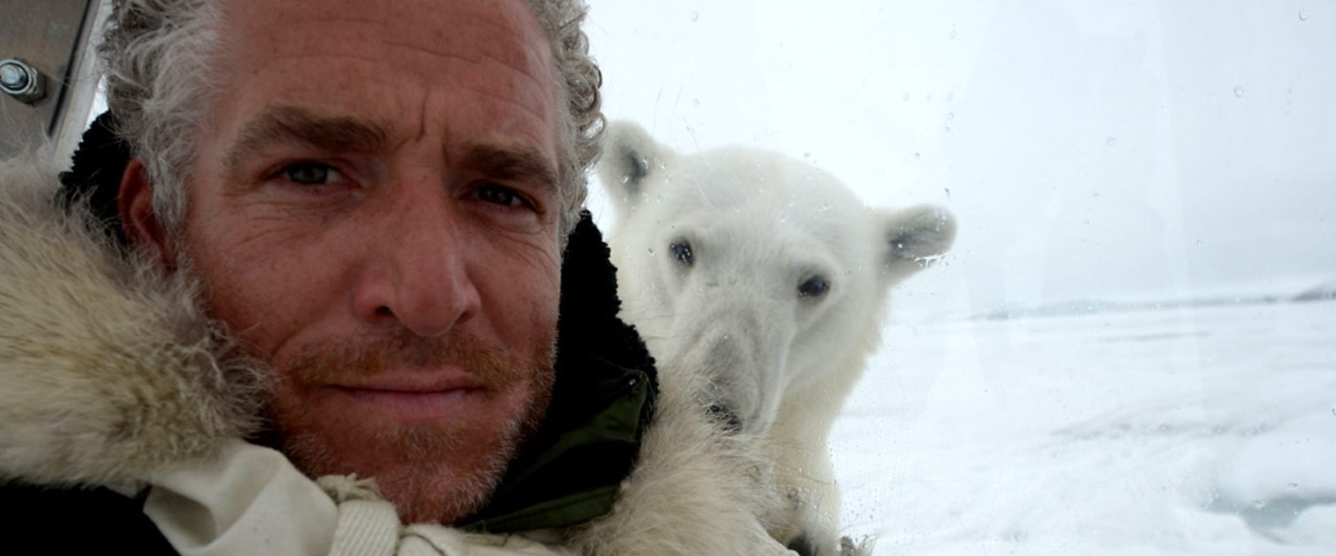 The Polar Bear Family & Me