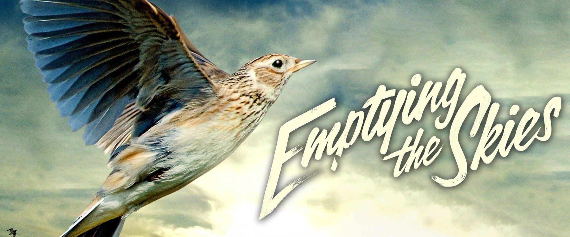Emptying the Skies
