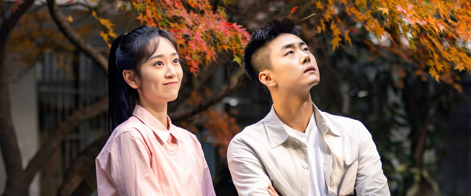 司法所里的故事