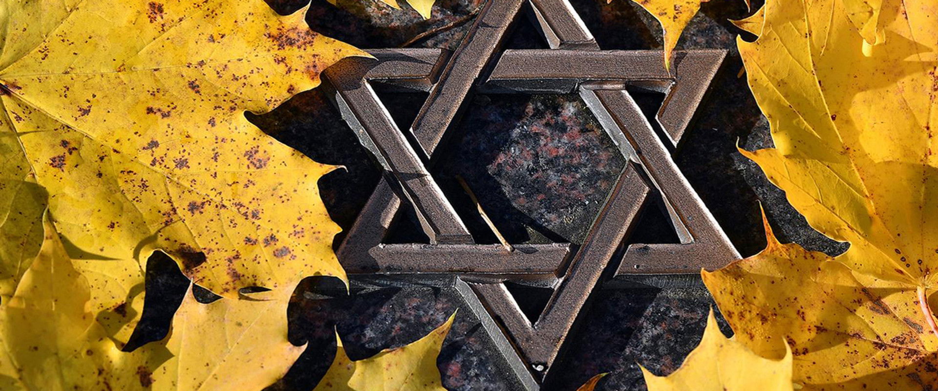 The Cause with the Jews's banner image