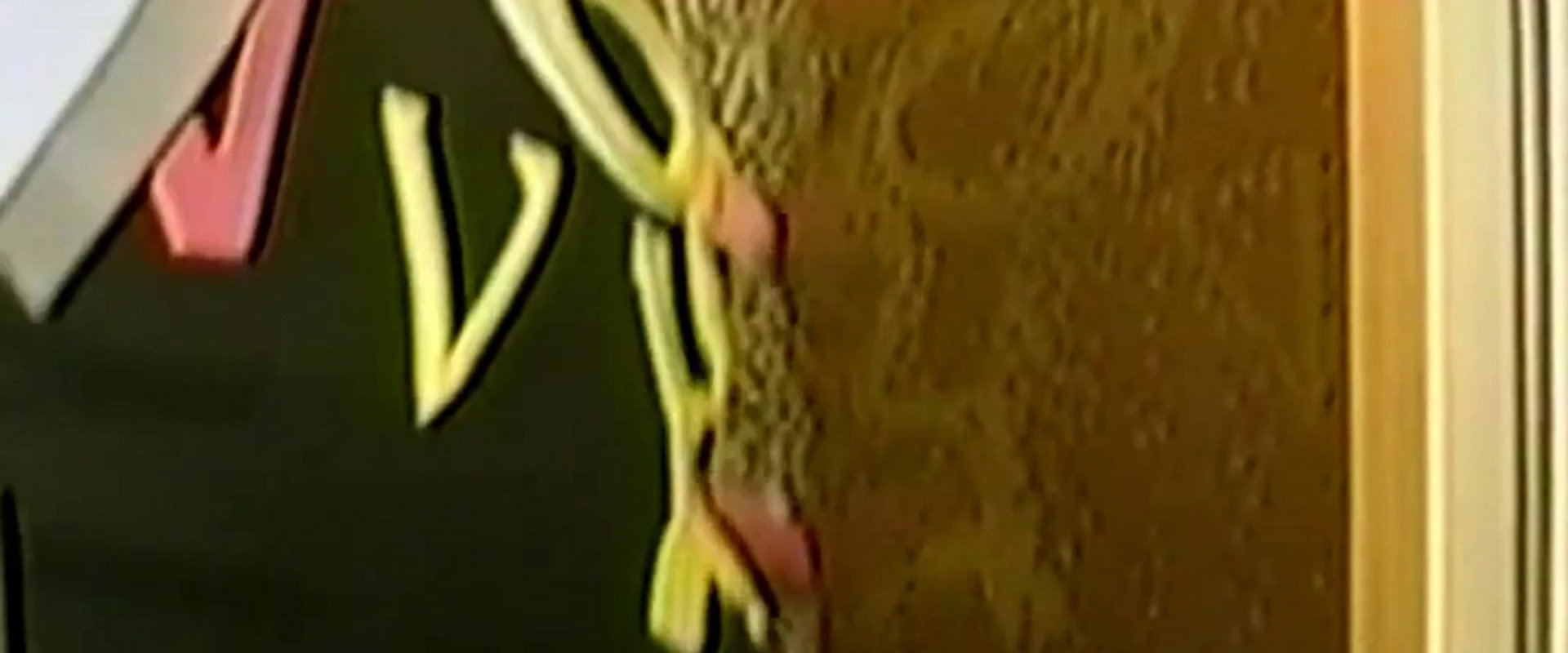 Tales From the Pussy Pound's banner image