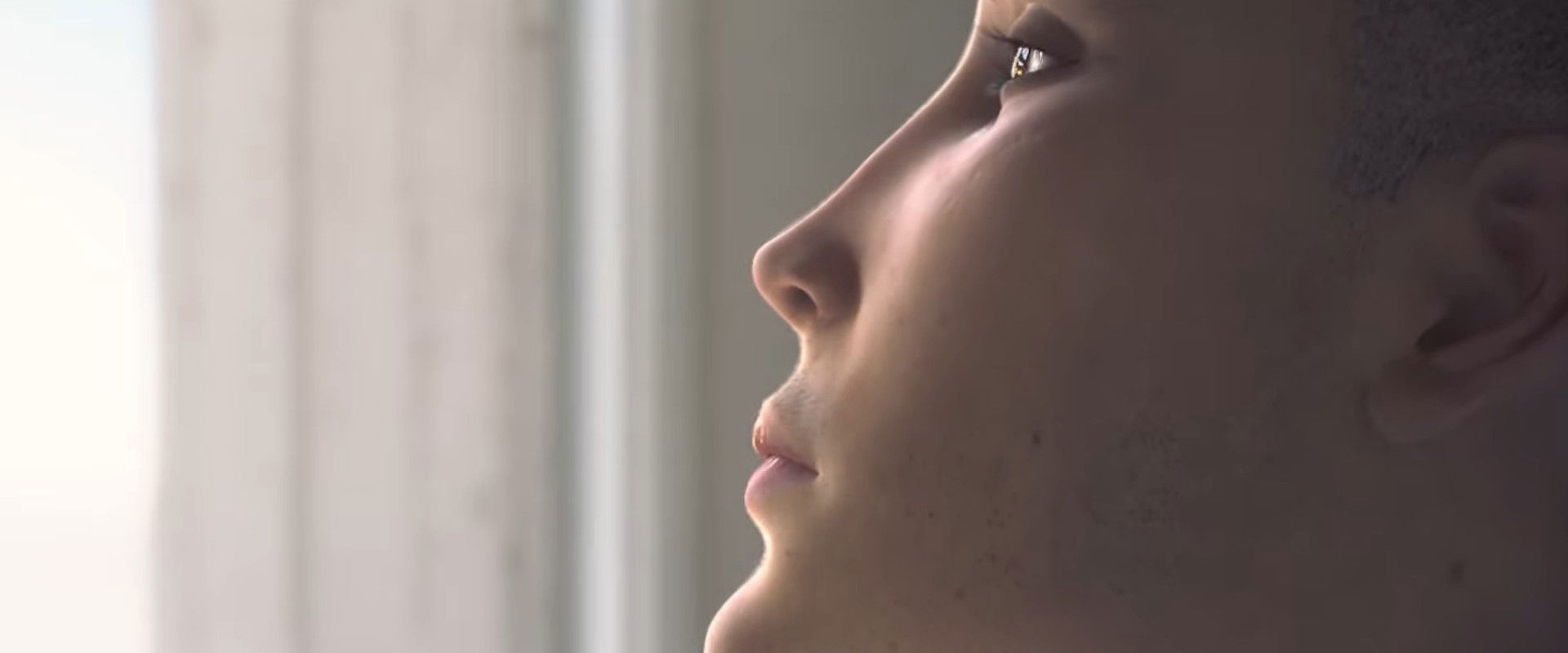 The Window's banner image