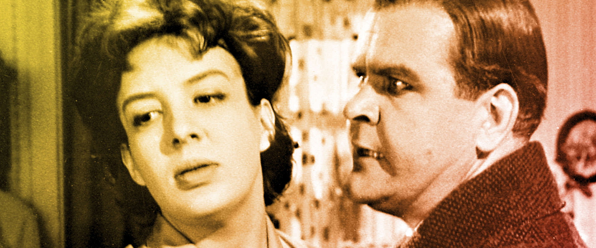 Hän varasti elämän's banner image