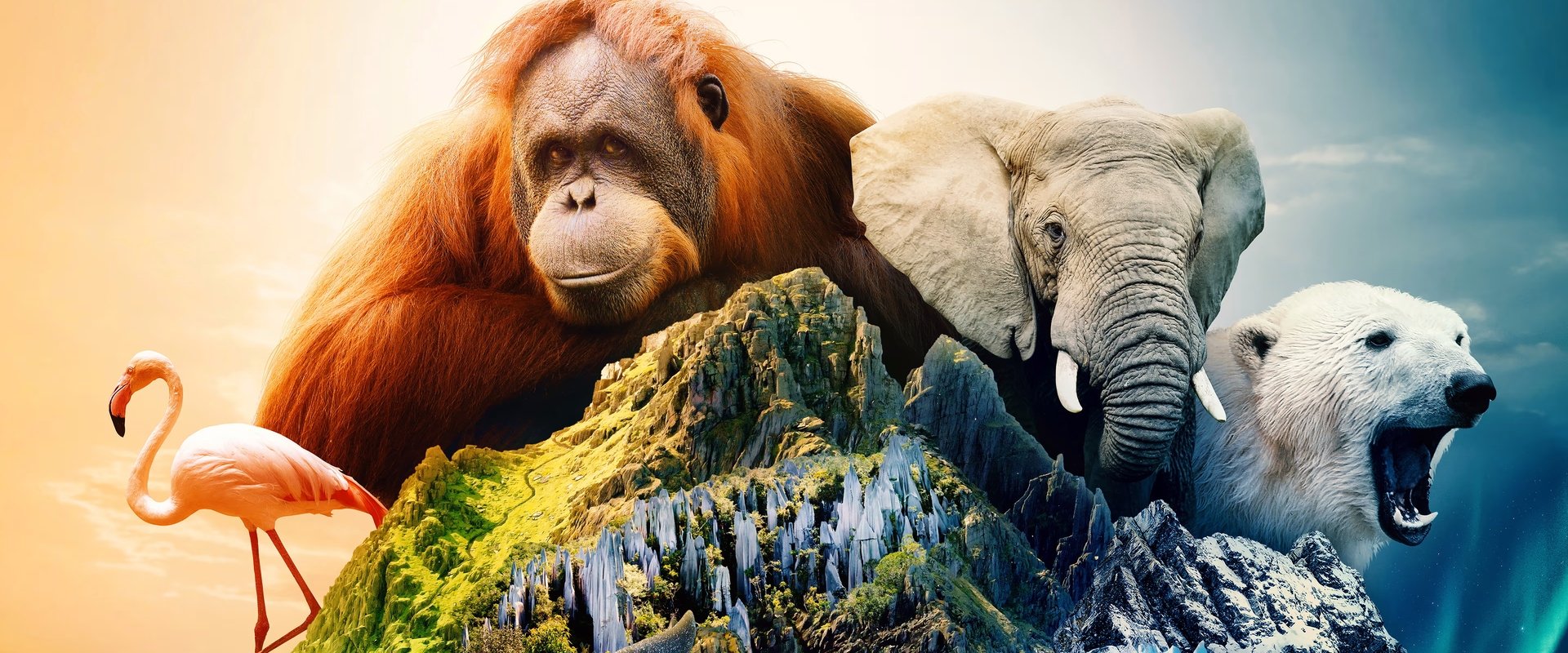 Islands: Nature's Wild Laboratories