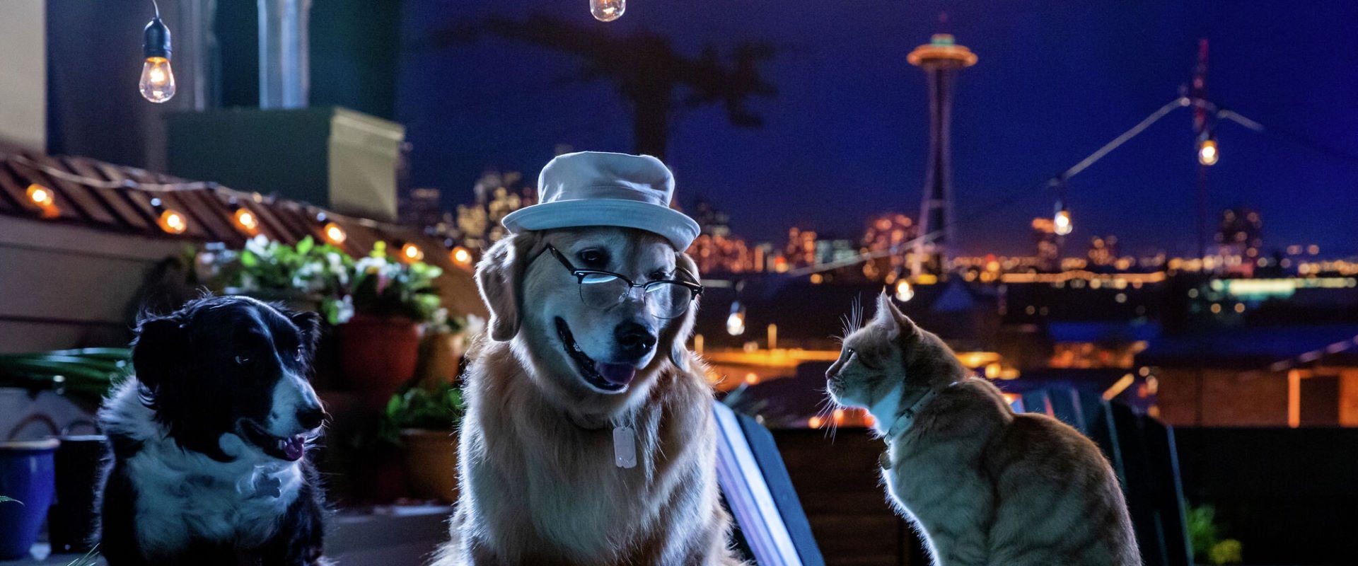Cats & Dogs 3: Paws Unite