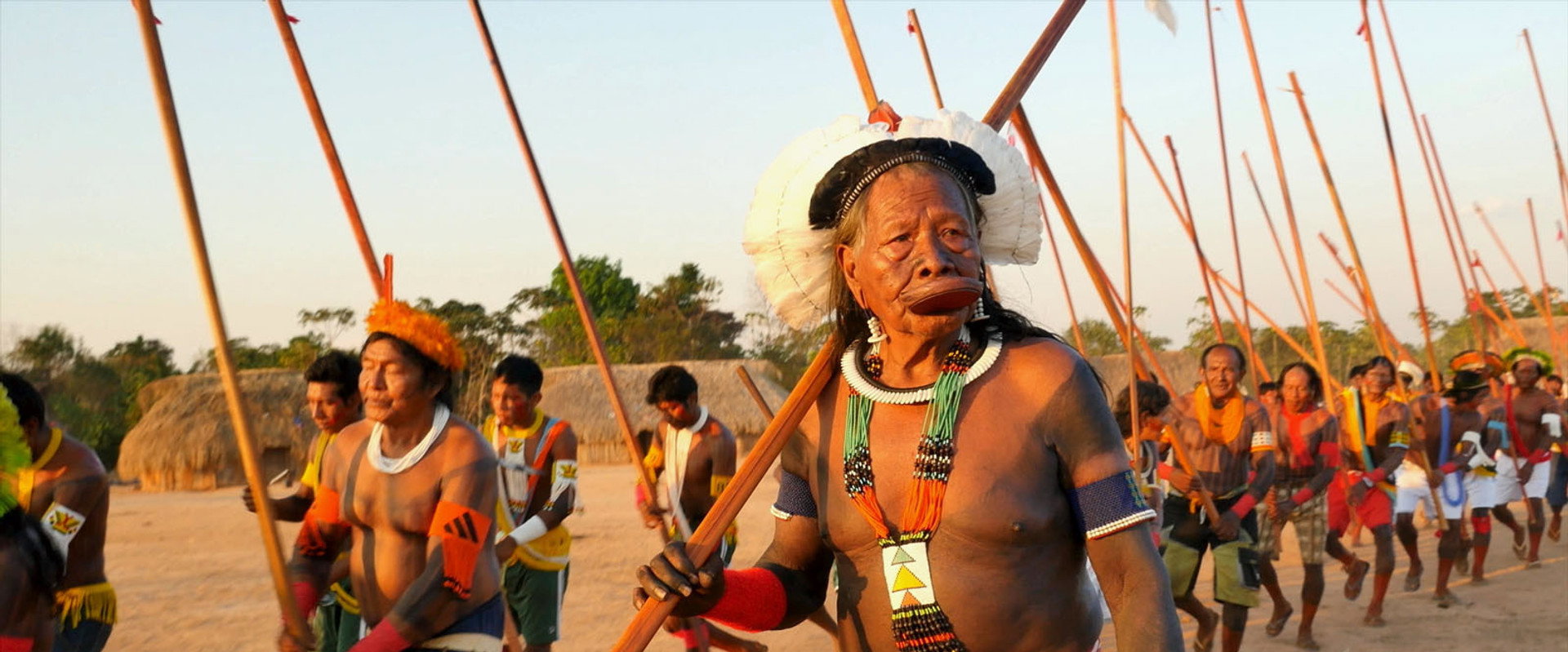 Terra Libre's banner image