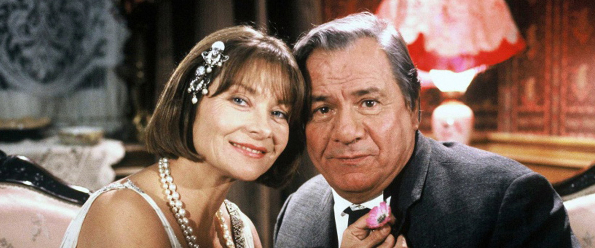 The Cocottes's banner image
