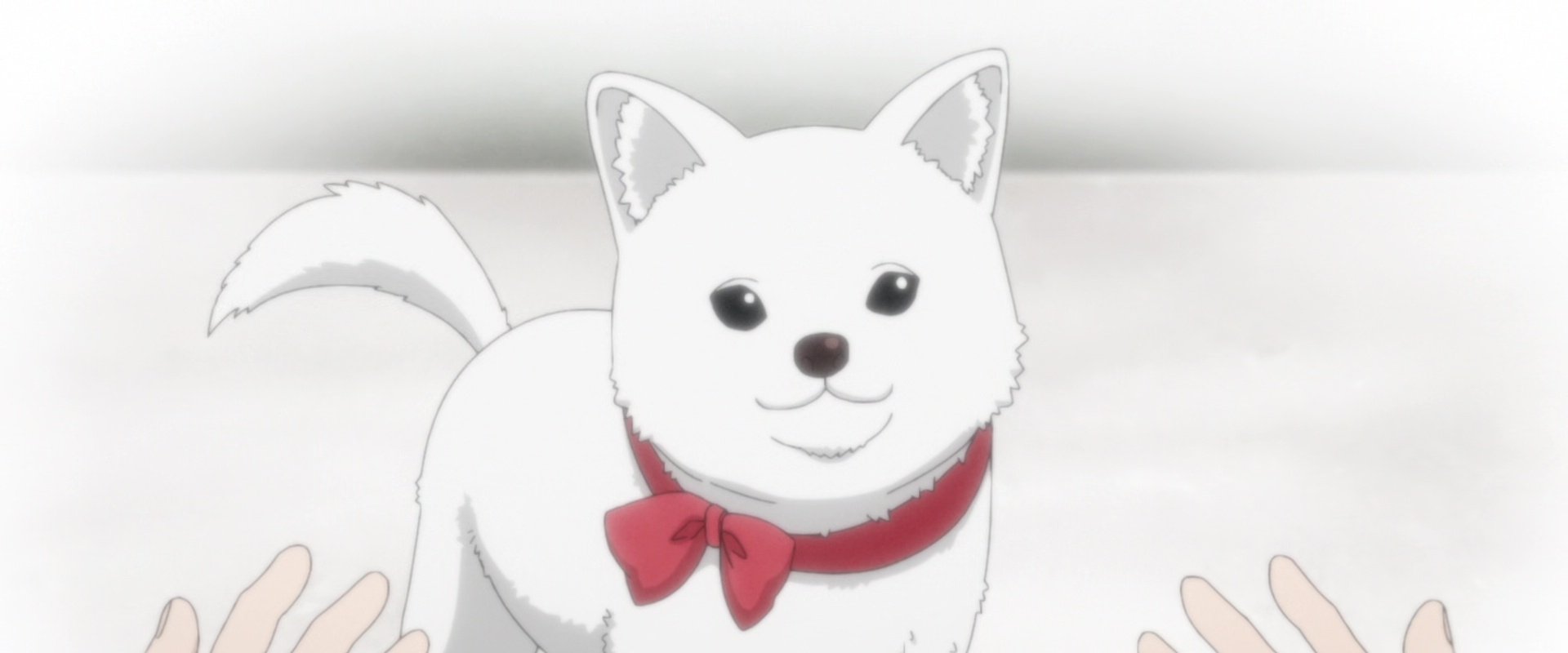 Kinokoinu Mushroom Pup
