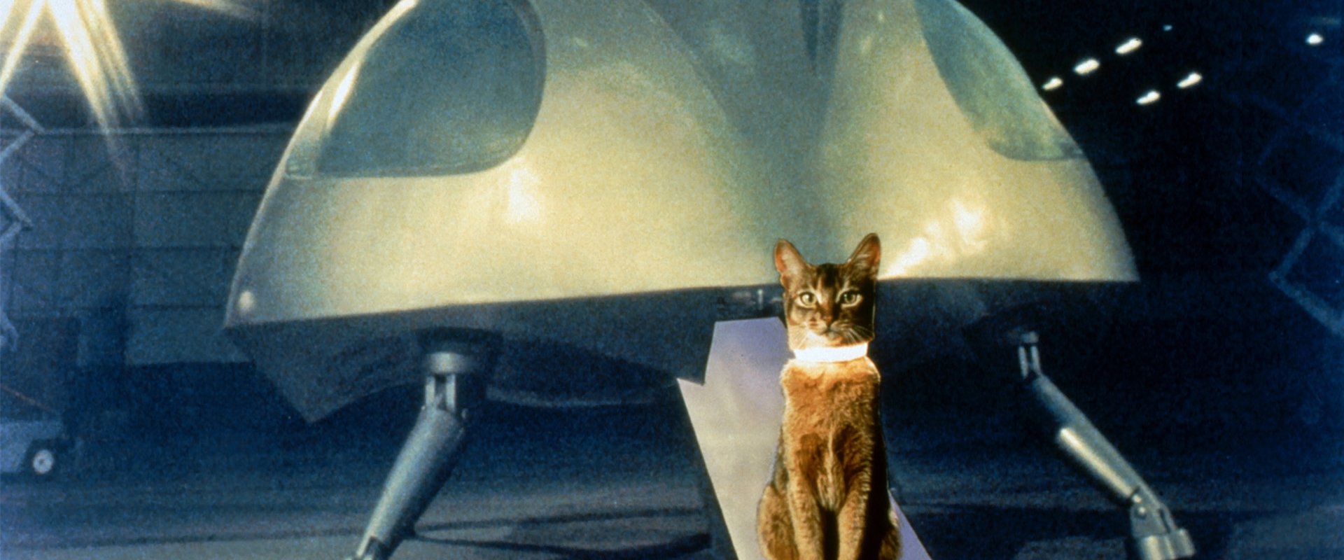 The Cat from Outer Space