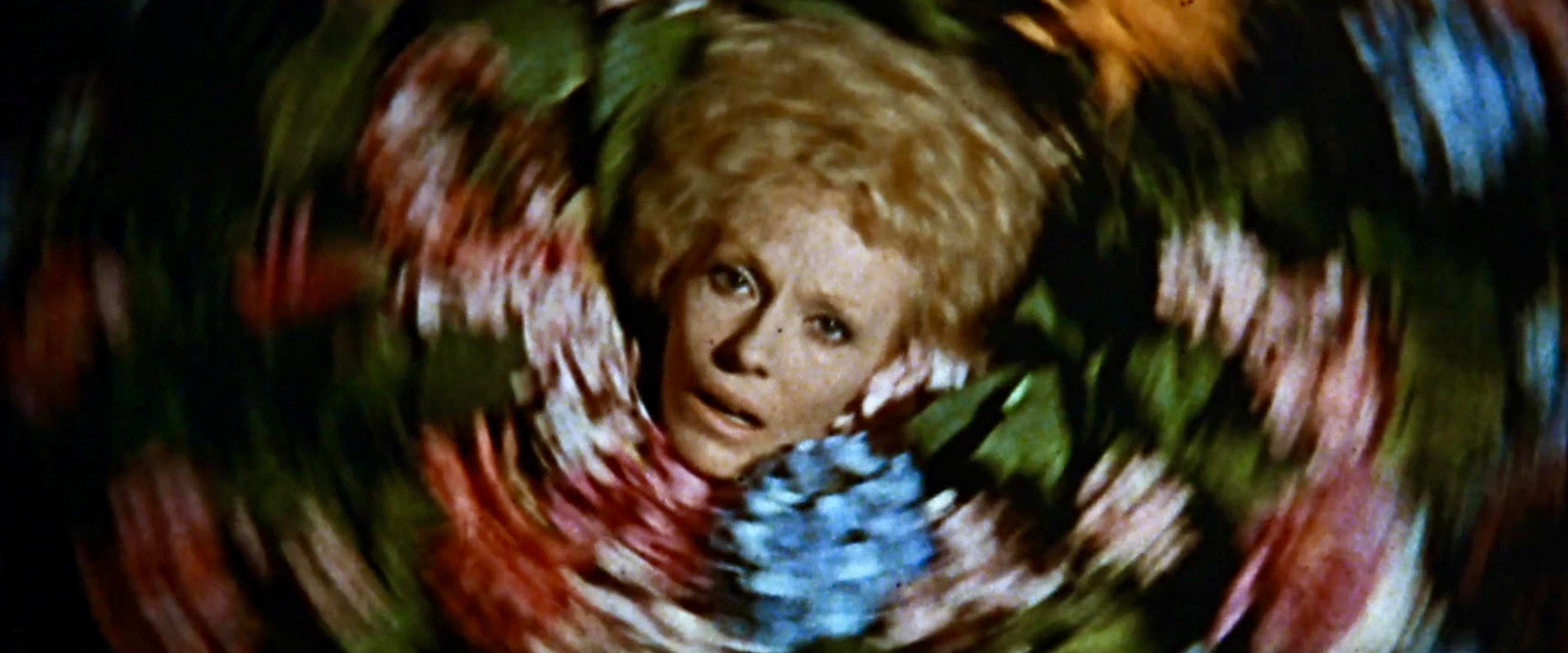 Say it with Flowers's banner image