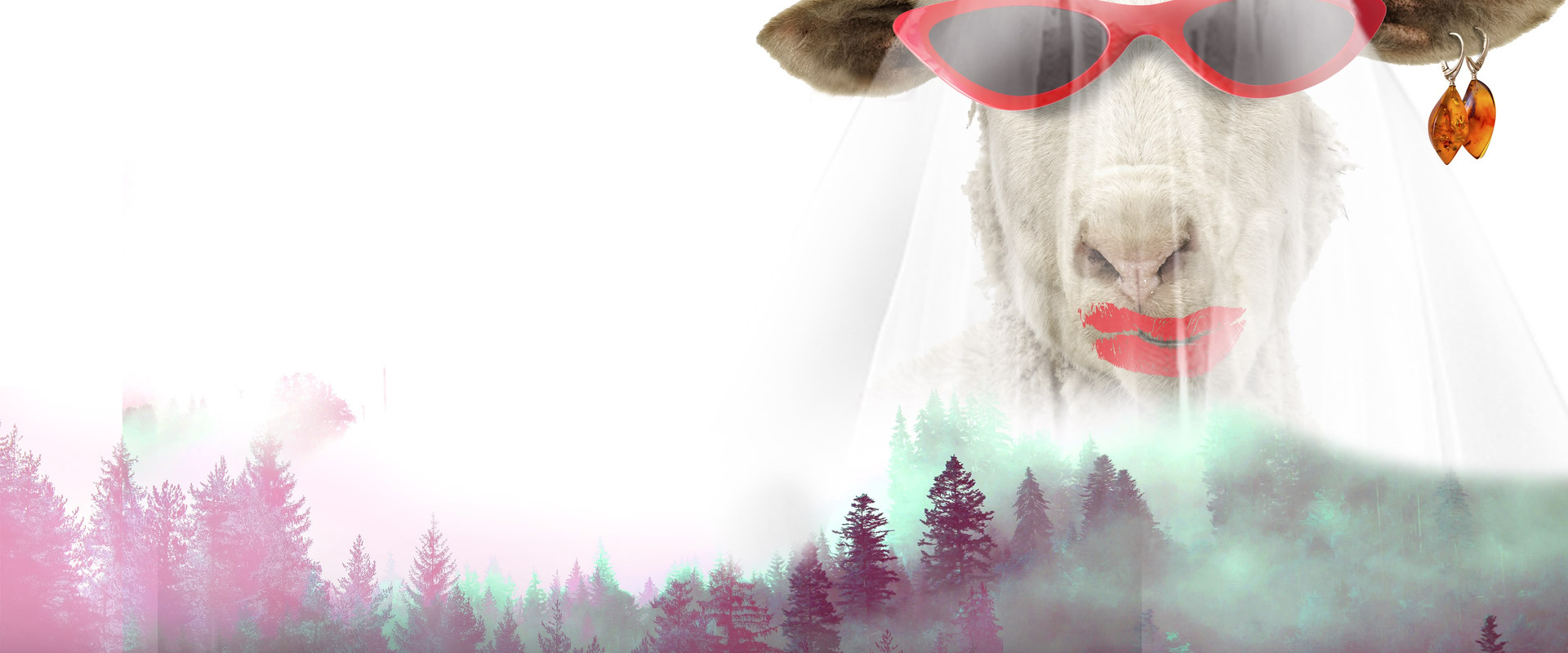 U Get What U Kiss 2: The Crazy Bride's banner image