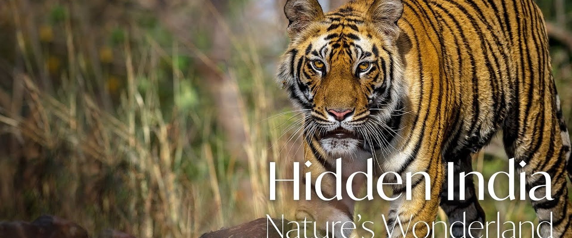 Hidden India