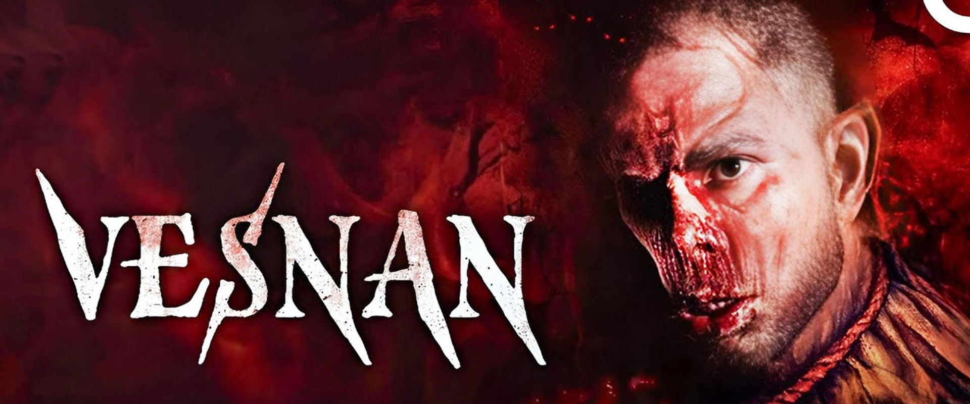 Vesnan's banner image