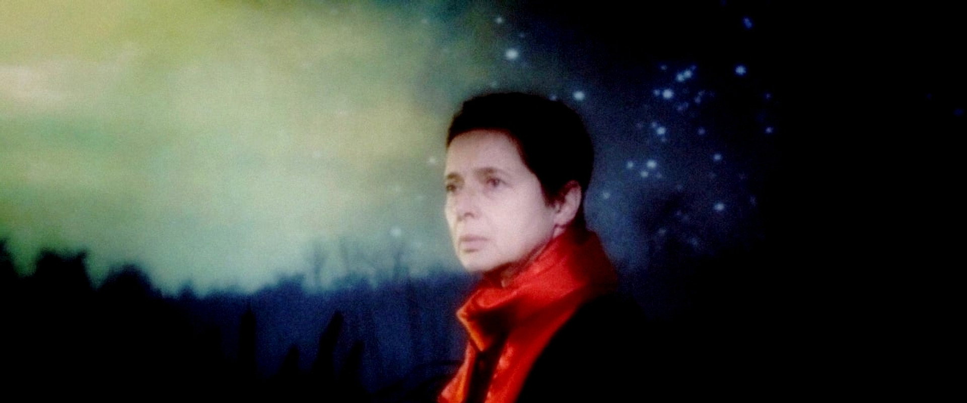 The Rabbit Hunters