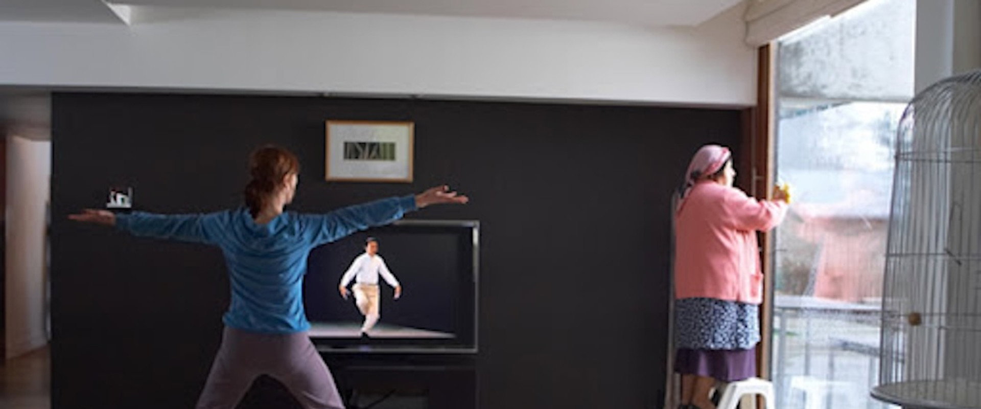 Cleaning Lady's Dreams's banner image