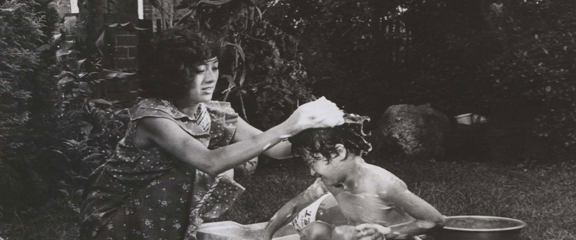 The Light of Recollection's banner image