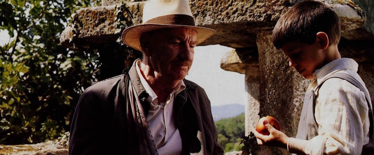 Kovana Uzanan Kelebeğin Dili