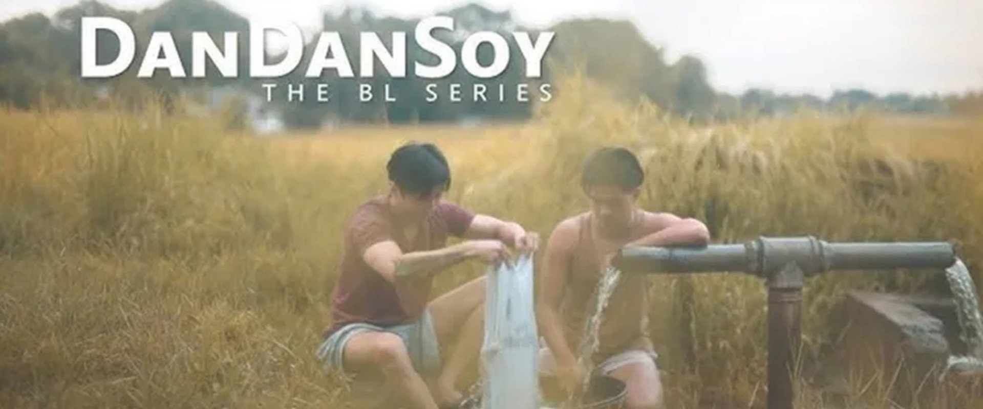 DanDanSoy