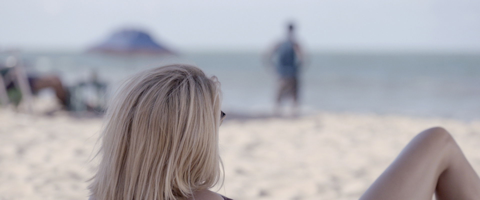 The Salamander's banner image