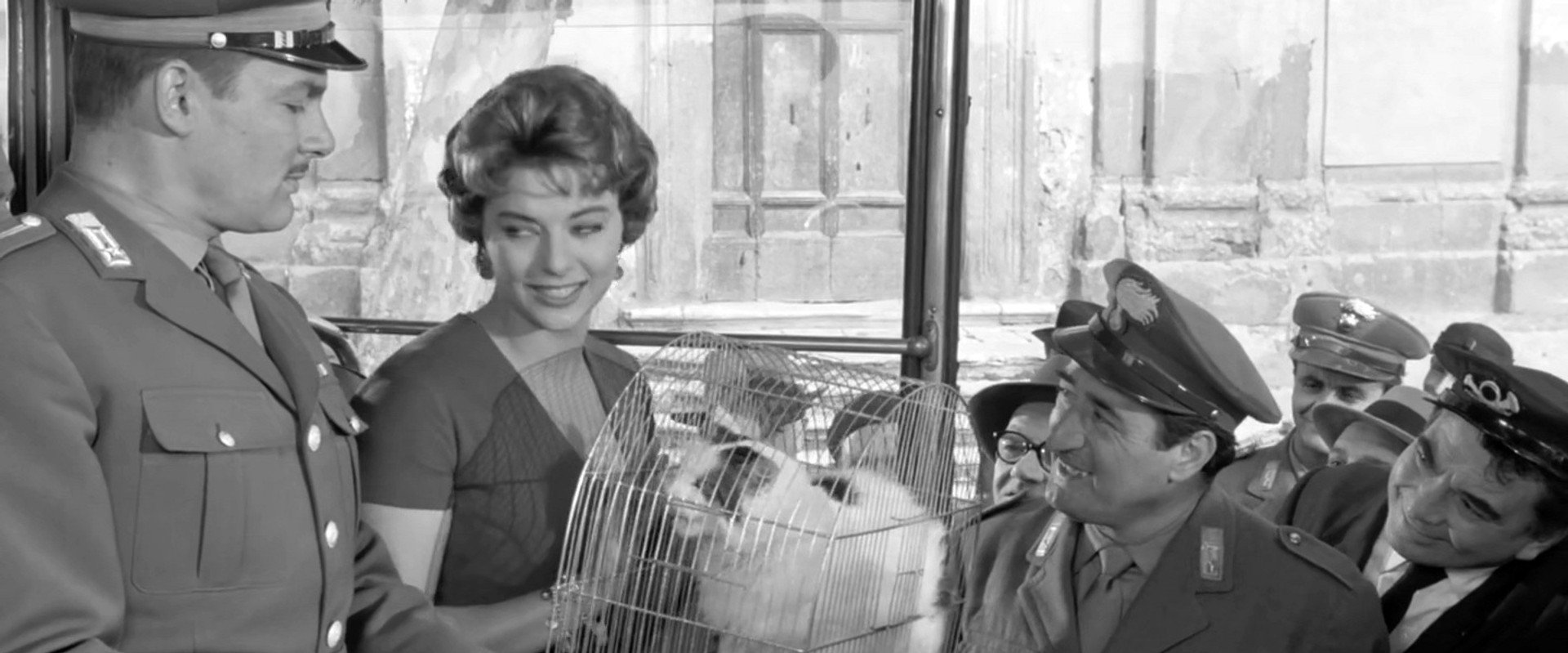 Tuppe tuppe, Marescià!'s banner image