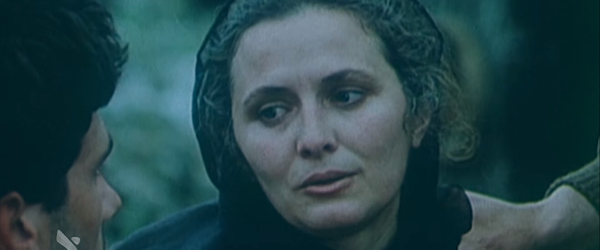 The Stones of my House's banner image