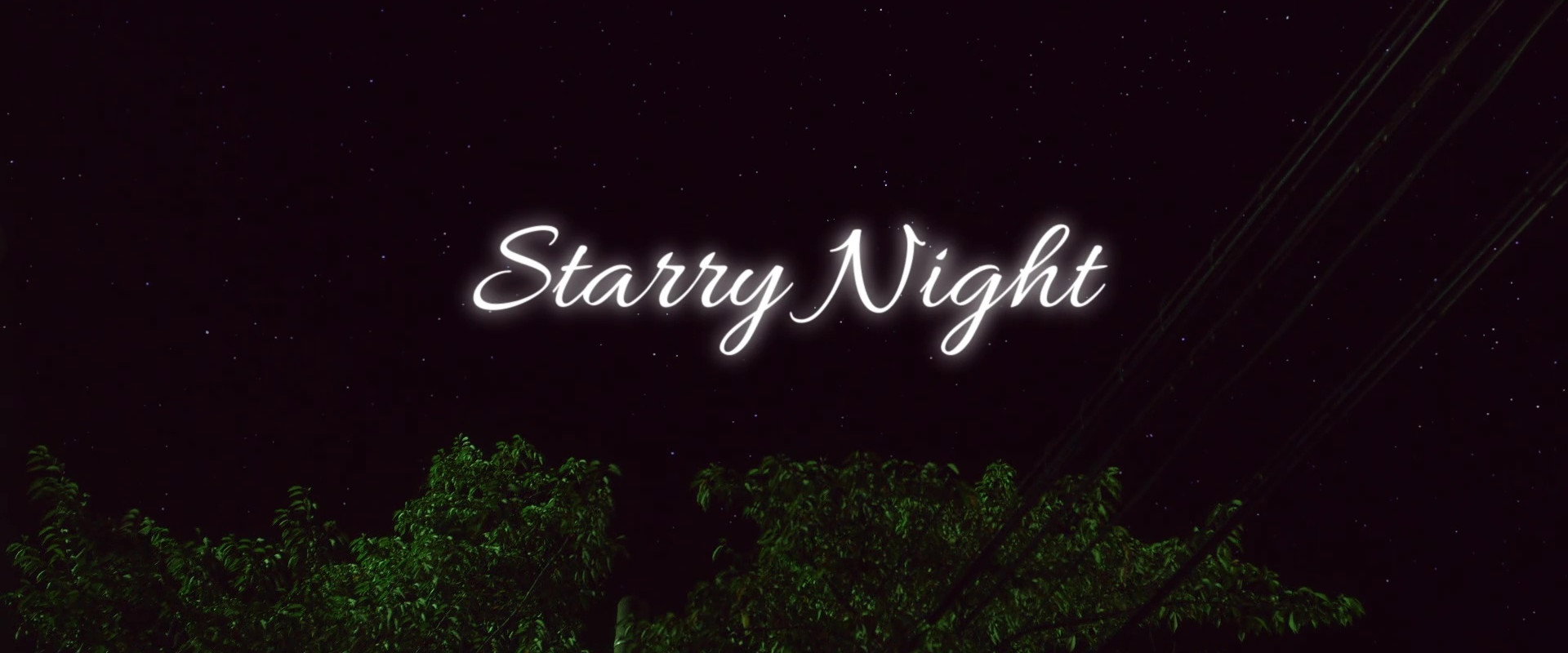 Starry Night's banner image