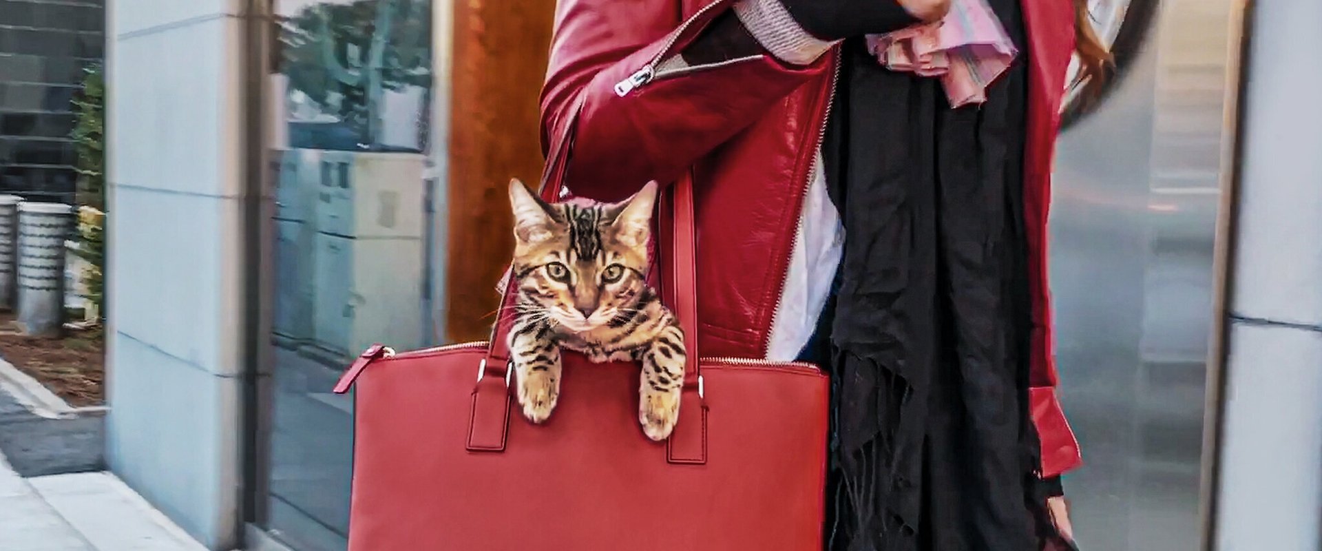 Cat People