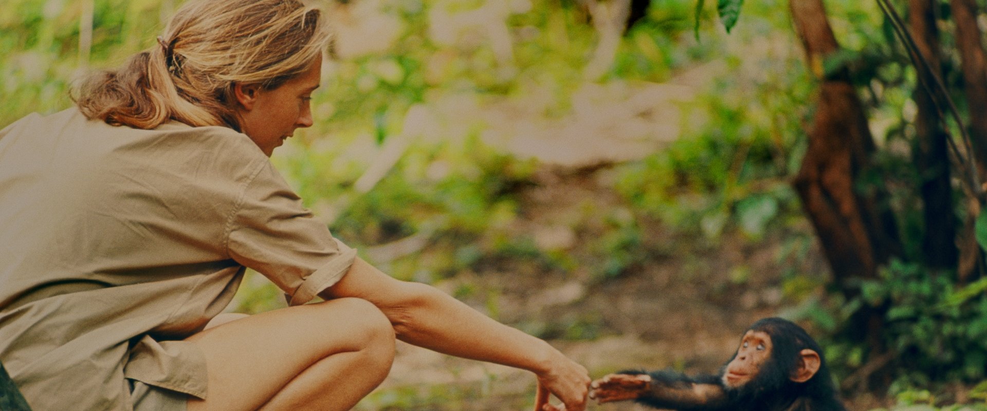 Jane Goodall: Mitt liv med schimpanserna