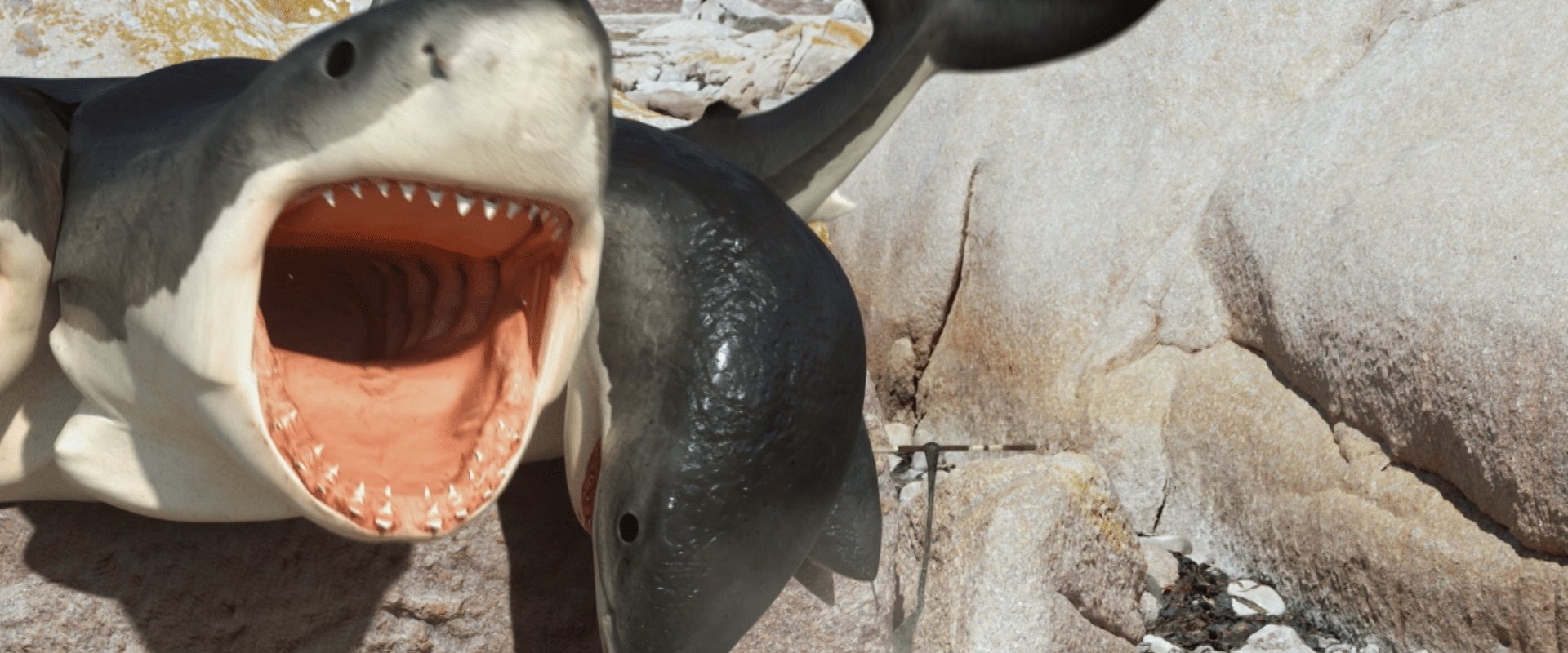 L'attaque du requin a 6 têtes