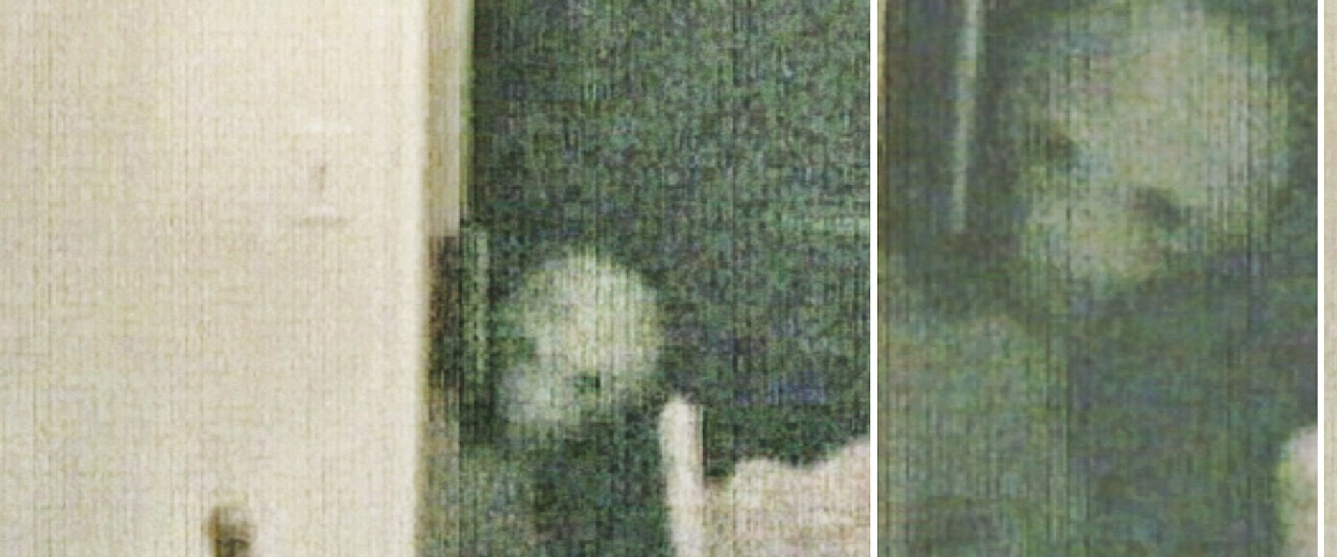 Extraordinary: The Stan Romanek Story's banner image