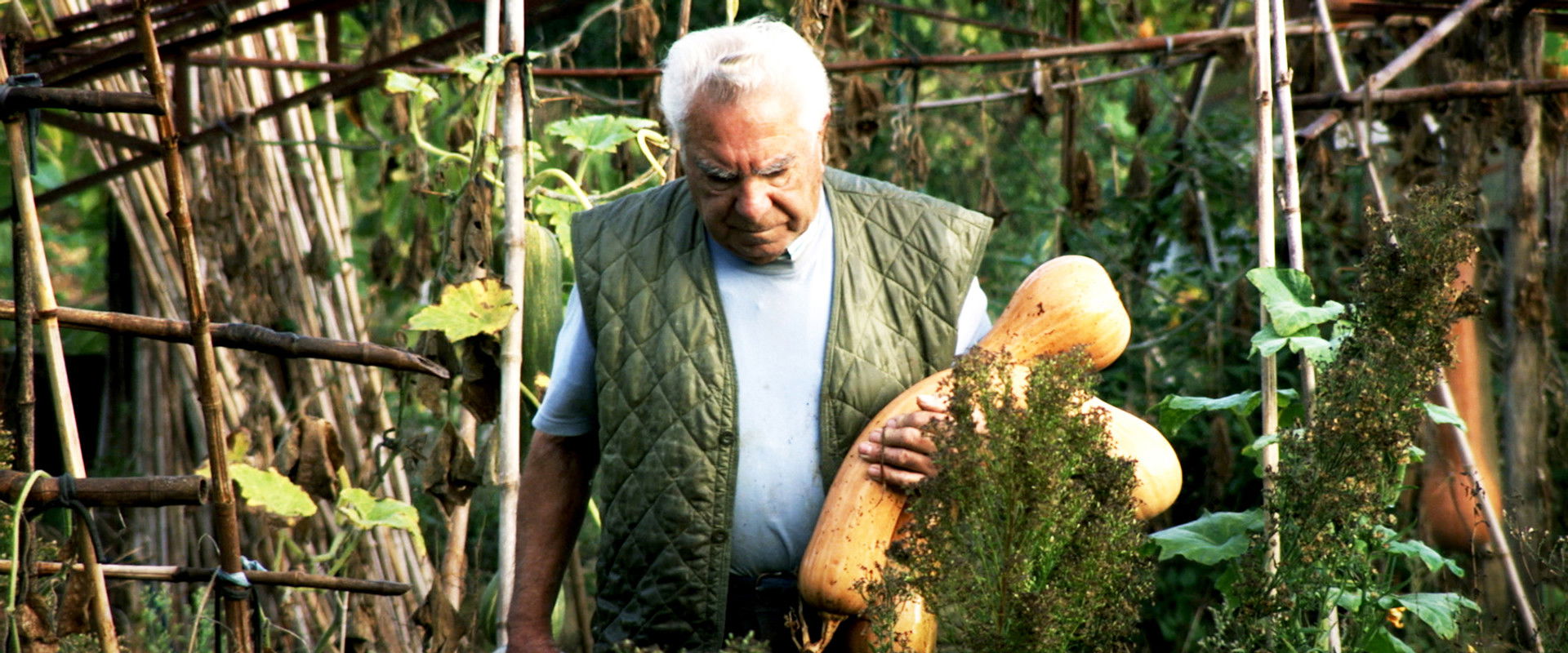 Le potager de mon grand-père's banner image