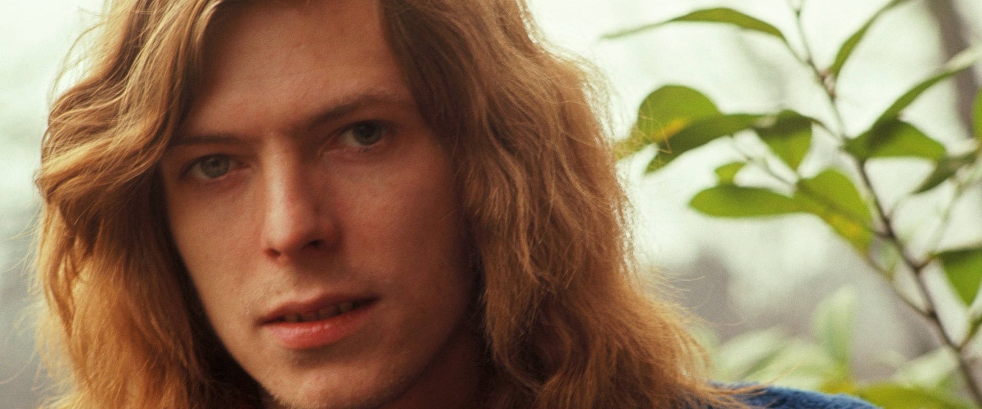 David Bowie: Finding Fame