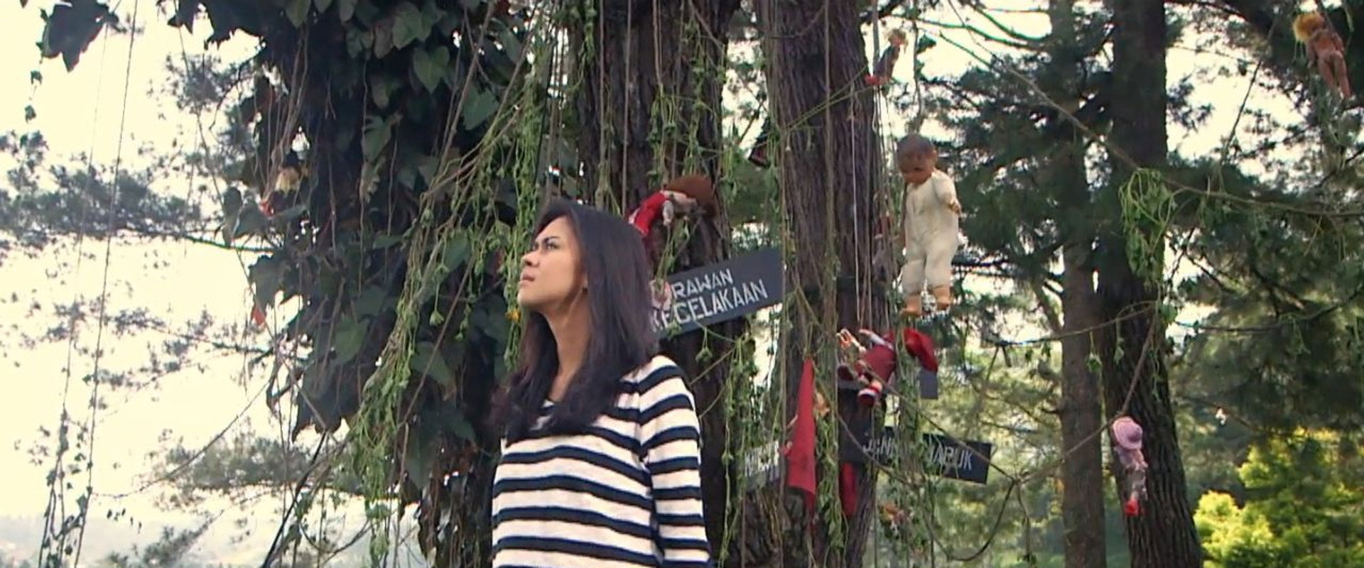 Hantu Pohon Boneka's banner image
