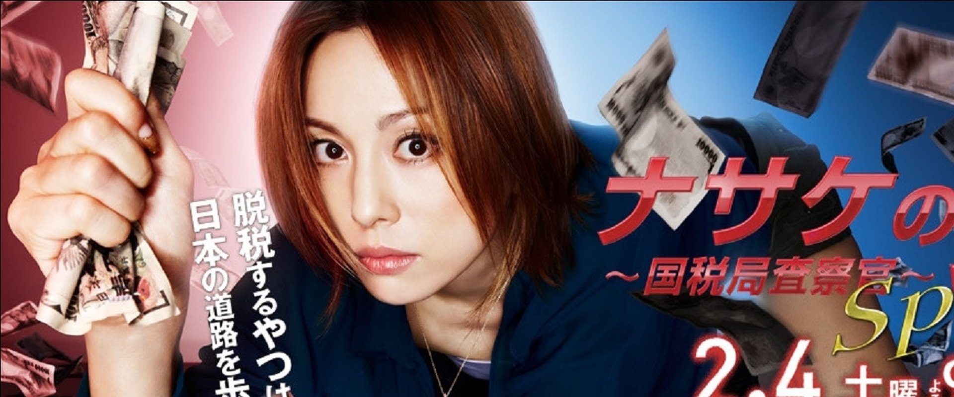 HUNT - Tax Investigation Officer