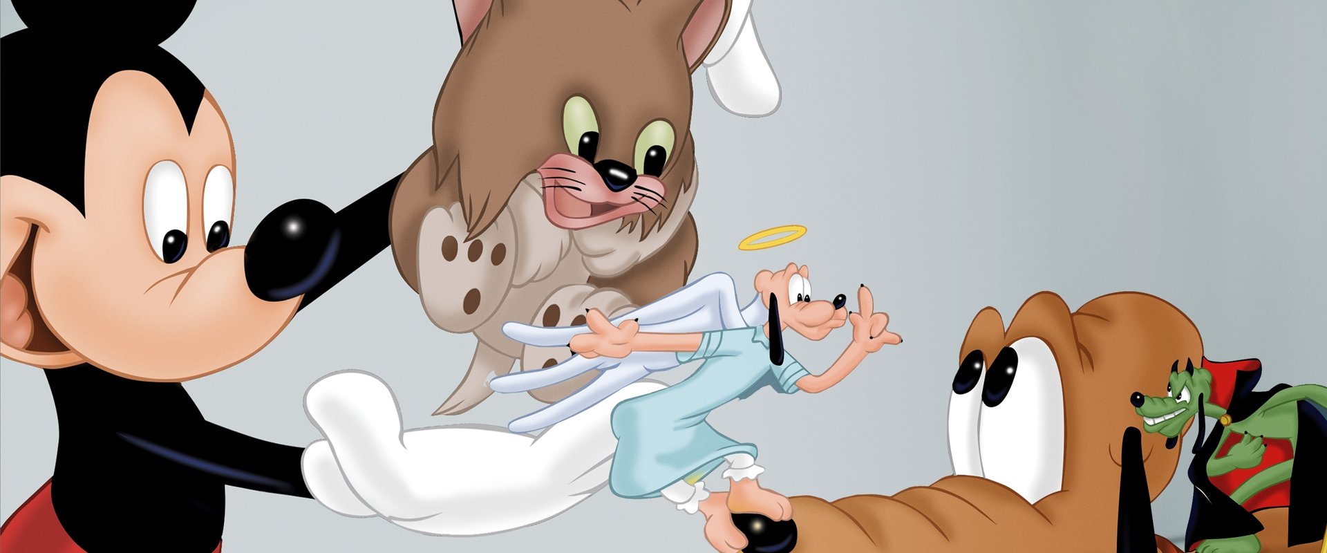 Lend a Paw