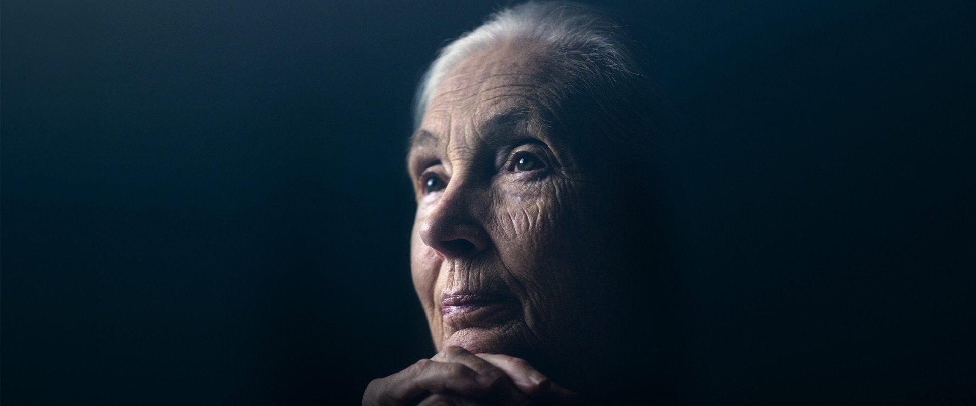 Jane Goodall: The Hope