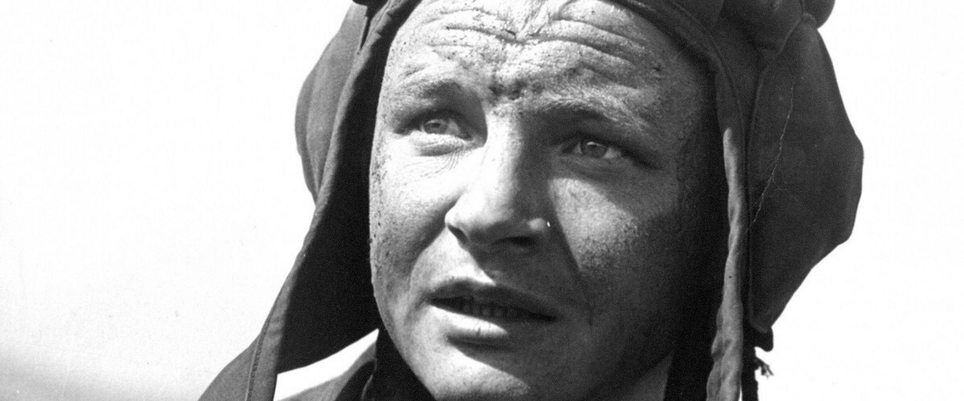 At War as at War's banner image